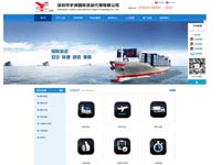 深圳市宇洲國際貨運(yùn)代理有限公司官網(wǎng)